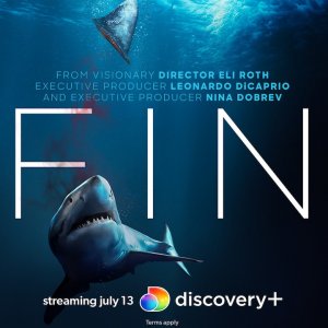 Locandina di Fin - La mattanza degli squali