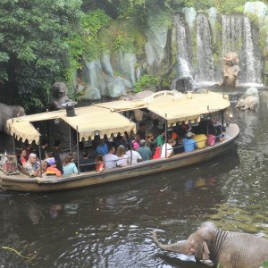 I segreti delle attrazioni Disney: un'immagine di Jungle Cruise