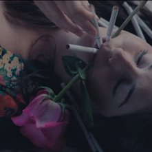 Ricomincio da te - Endings, Beginnings: Shailene Woodley in una scena del film