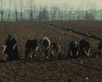 L'albero degli zoccoli: dove è stato girato il film di Ermanno Olmi?