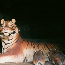 Krabi, 2562: una sequenza