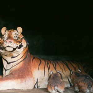 Krabi, 2562: una sequenza