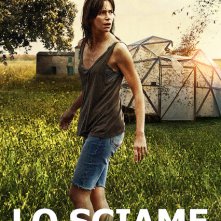 Locandina di Lo sciame