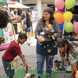 Superintelligence: Melissa McCarthy in una scena