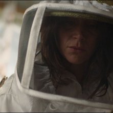 Lo sciame: una scena del film