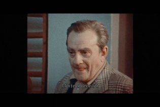 Il Ragazzo Più Bello Del Mondo - Trailer Sottotitolato