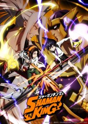 Locandina di Shaman King