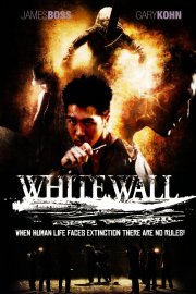 Locandina di White Wall