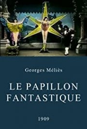 Locandina di Le papillon fantastique