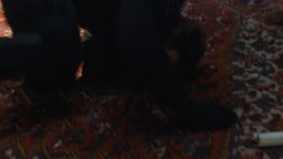 Fast & Furious 9 - The Fast Saga - Clip -Scontro Tra Fratelli