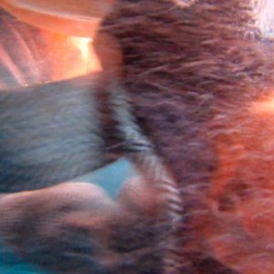 Purple Sea: una scena del film