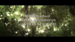 Josée, La Tigre e i Pesci - Trailer Italiano