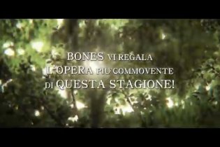 Josée, La Tigre e i Pesci - Trailer Italiano