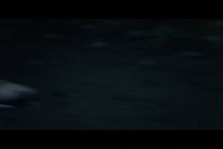 Il cieco che non voleva vedere Titanic - Trailer