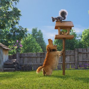 Una vita da Dug: Dug e lo scoiattolo in una scena