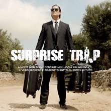 Locandina di Surprise Trip