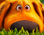 Una vita da Dug, la recensione: Umorismo immediato per gli amanti di Up e dei cani