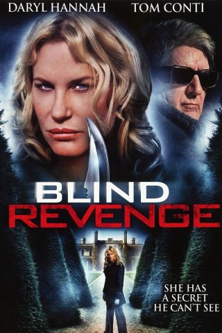 Locandina di Blind Revenge