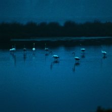 America latina: un momento del film