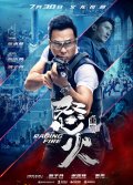 Locandina di Chinese Doctors
