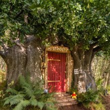 Winnie the Pooh: Airbnb