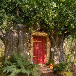 Winnie the Pooh: Airbnb