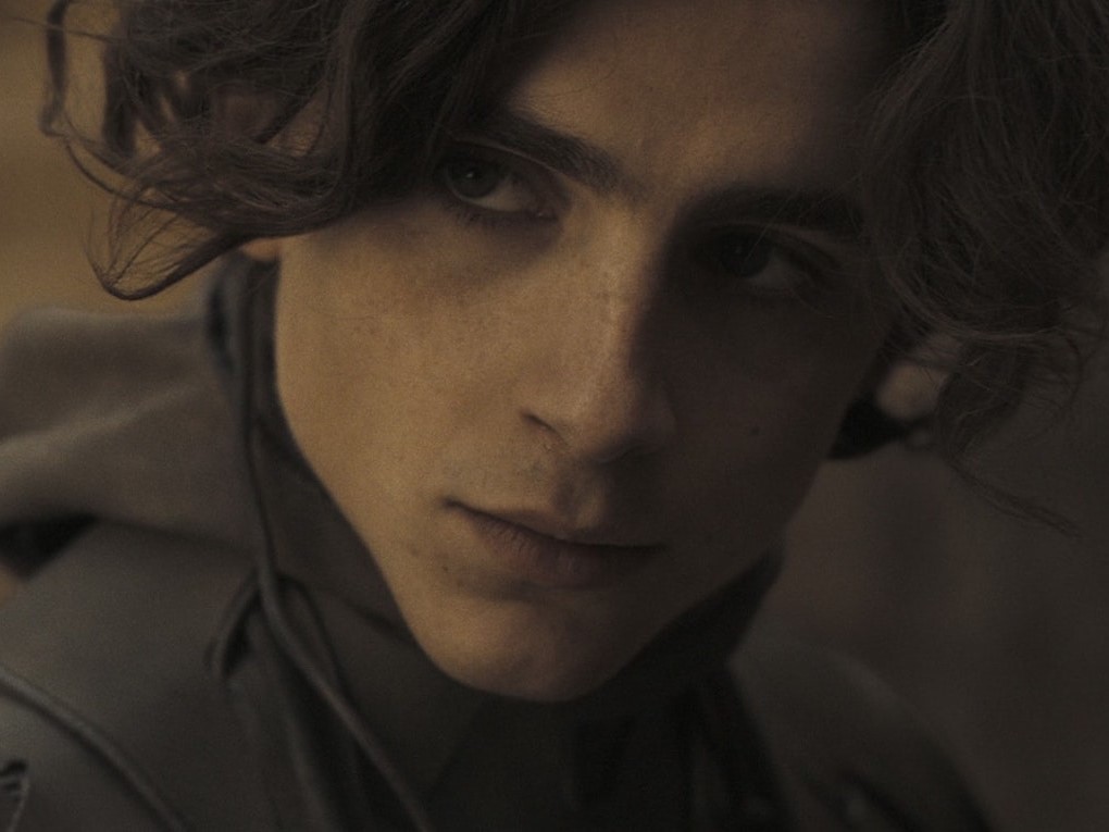 Un primissimo piano di Timothee Chalamet