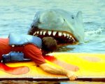 Lo squalo 2: i record del sequel del film diretto da Steven Spielberg