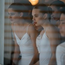 Birds of Paradise: un'immagine