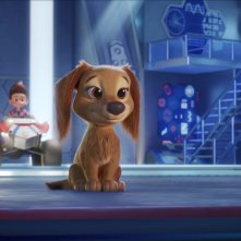 Paw Patrol - Il Film: una scena del film d'animazione