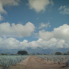 The Arch: una sequenza del film