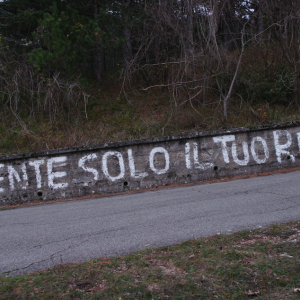 Il Migliore. Marco Pantani: un'immagine