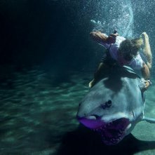 47 Metri - Great White: una foto del film