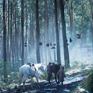 The Kelly Gang: una scena del film