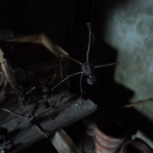 L'uomo delle castagne: un'inquietante particolare di scena