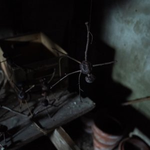 L'uomo delle castagne: un'inquietante particolare di scena