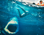 47 Metri: Great White, recensione: brividi subacquei dal titolo ingannevole