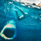 47 Metri: Great White, recensione: brividi subacquei dal titolo ingannevole