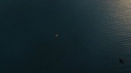 47 Metri - Great White - Clip