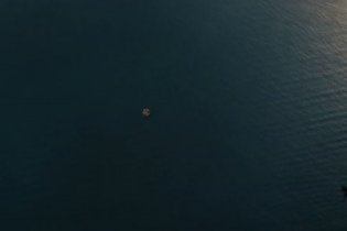 47 Metri - Great White - Clip