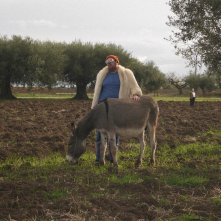 Storia di Ray (o l'asino che vola): una scena