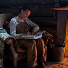 Land: Robin Wright in un'immagine