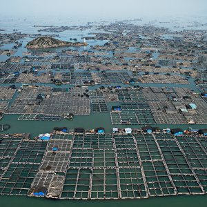 Watermark - L'acqua è il bene più prezioso: una sequenza