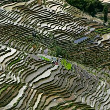 Watermark - L'acqua è il bene più prezioso: una scena