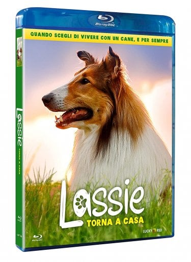 Lassie