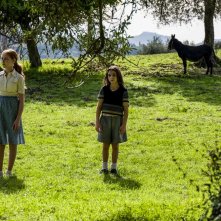 L'Arminuta: una scena del film