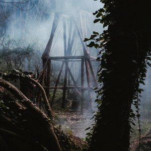 Divinazioni: un'immagine