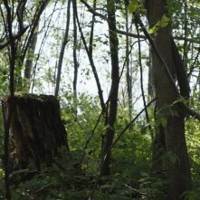 The Night House - La casa oscura: una scena con Rebecca Hall