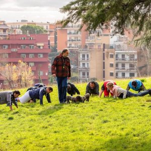 Crazy for Football - Matti per il calcio: una scena del film