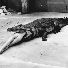 Helmut Newton - The Bad and the Beautiful: una foto del documentario